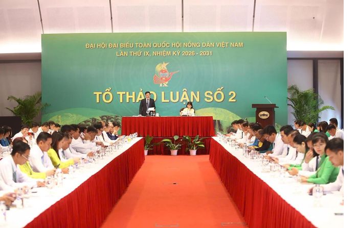 Các đại biểu thảo luận tại Tổ số 2