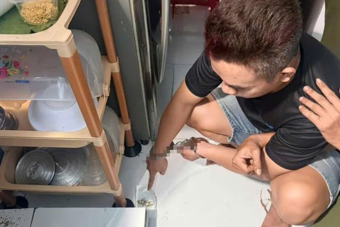 Nơi nghi phạm cất giấu sợi dây chuyền sau khi cướp được. Ảnh: CA