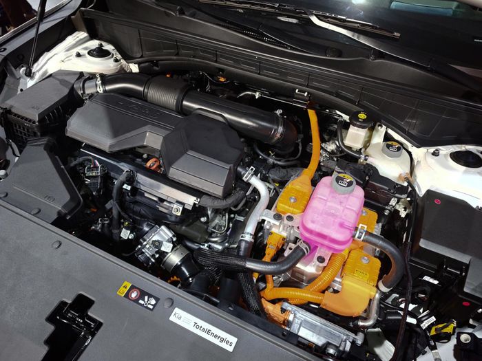 Dưới nắp ca-pô Kia Sorento HEV là hệ truyền động SmartStream 1.6T HEV, sản sinh công suất đầu ra tối đa 232 mã lực, mô-men xoắn cực đại 367 Nm. Sorento HEV tại Việt Nam sử dụng hộp số tự động 6 cấp, hệ dẫn động FWD hoặc AWD tùy phiên bản.