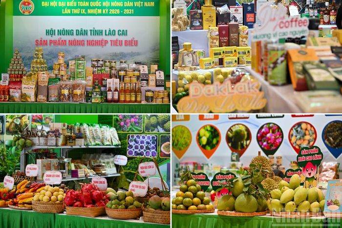 Những sản phẩm nông sản đặc trưng đến từ khắp mọi miền đất nước góp phần tạo nên không gian trưng bày đa sắc màu, phản ánh sinh động thành tựu phát triển của nền nông nghiệp Việt Nam cũng như vai trò ngày càng lớn của nông dân trong phát triển kinh tế nông thôn.
