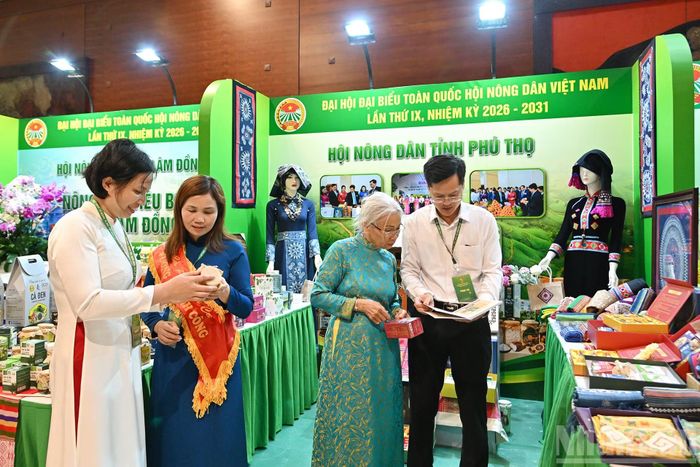 Gian trưng bày của Hội Nông dân tỉnh Phú Thọ nhận được sự quan tâm, tìm hiểu của nhiều đại biểu.