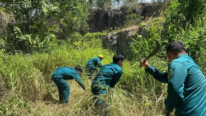 Ban Chỉ huy Quân sự phường An Khê nhanh chóng triển khai phương án không để ngọn lửa cháy lan sang các khu vực rừng bên cạnh.