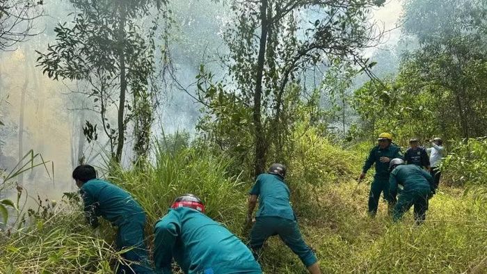  Đà Nẵng khống chế kịp thời vụ cháy rừng giữa thời tiết nắng nóng cao độ. 