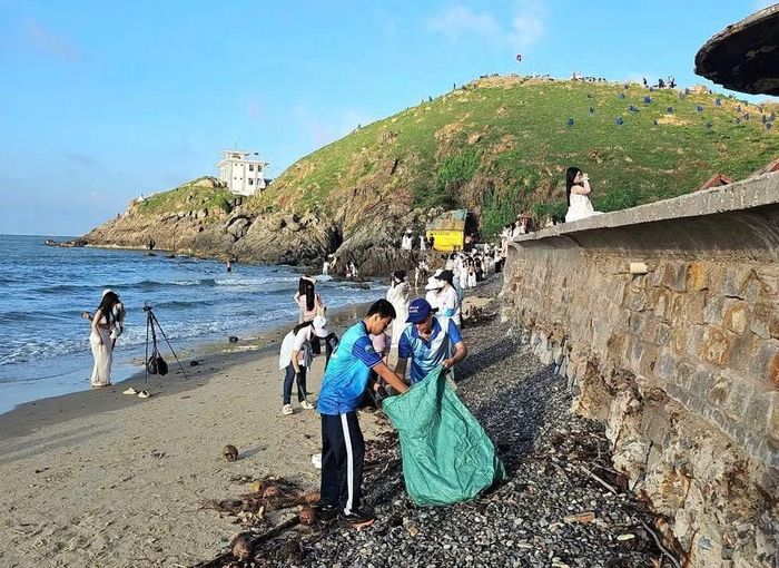 Nhặt rác ở mé biển dưới mũi Nghinh Phong.