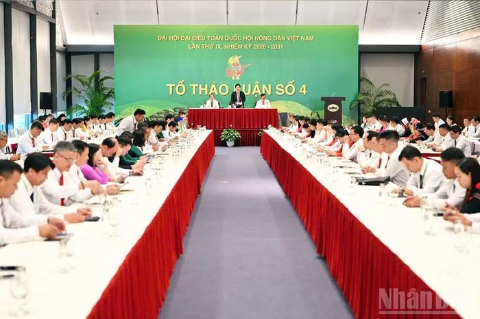 Các đại biểu chia tổ thảo luận trong khuôn khổ Đại hội.