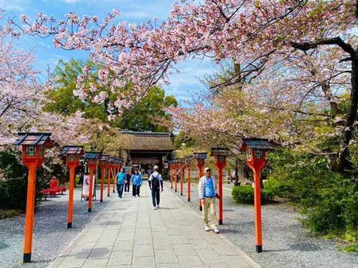 Du khách chậm rãi bước trong đền Hirano Shrine, như sợ làm mất đi sự yên bình vốn có của nơi này.Ảnh: LÊ MINH HẠ