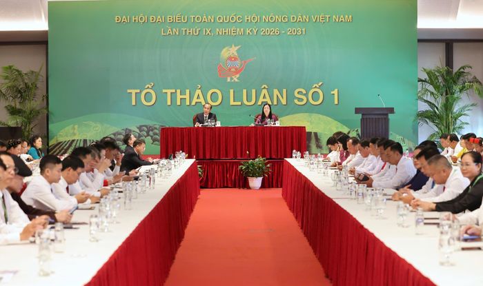  Quang cảnh tại tổ thảo luận số 1, sáng 7-6 