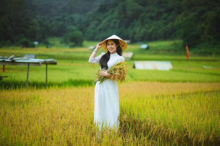  Cánh đồng lúa trở thành điểm check-in thu hút du khách. Ảnh: VŨ THỊ HỒNG PHƯƠNG cung cấp 