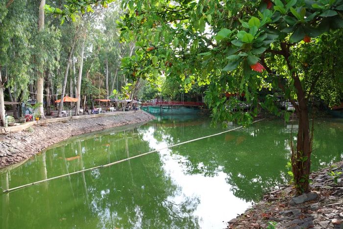 Công viên cũng có điểm nhấn khác biệt so với nhiều nơi khác khi có nhiều hồ nước bên trong.