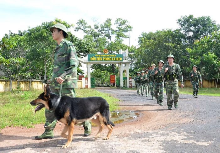 Từ ngày 1/7/2025, Bộ đội Biên phòng tỉnh Bình Định, Phú Yên sáp nhập vào Bộ đội Biên phòng tỉnh Đắk Lắk và Gia Lai, vì vậy đoàn công tác yêu cầu cán bộ phải giỏi cả tuyến rừng lẫn tuyến biển, khi cần có thể theo tàu tuần tra trên biển, hoặc tăng cường lên tuyến biên giới đất liền đi xuyên rừng núi. Ảnh: Lê Văn Chương