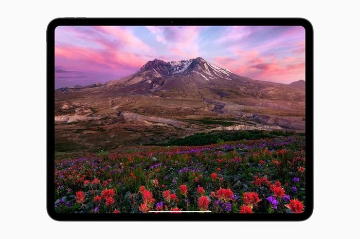 Apple đã trang bị màn hình tandem OLED trên iPad Pro M4, nhưng chưa tích hợp vào iPhone của hãng. Ảnh: Apple