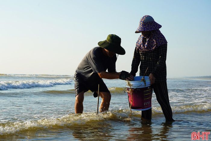 Ông Nguyễn Văn Quế (xã Thạch Khê) cho biết: “Mỗi ngày tôi có thể câu được từ 20-30 kg cúm núm. Câu được bao nhiêu thương lái cũng thu mua hết bấy nhiêu. Hiện cúm núm được bán với giá khoảng 30.000 đồng/kg. Giá khá ổn định nên chúng tôi tranh thủ đánh bắt để tăng thêm thu nhập".