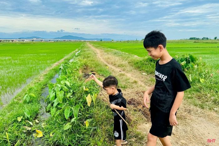Hai cậu con trai của chị Phạm Thị Hà Linh hào hứng khi được về thăm ông bà và trải nghiệm câu cá ở đồng ruộng.