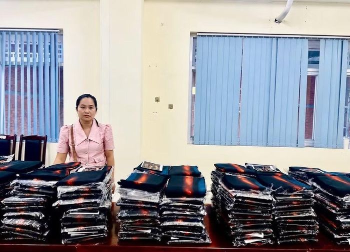 Bà Hoàng Thị Bích Ngọc sao chép hình ảnh mẫu thiết kế thuộc bộ sưu tập “Thư từ phố thị” để bán cho khách hàng dưới nhiều hình thức. (Ảnh: PV/Vietnam+)