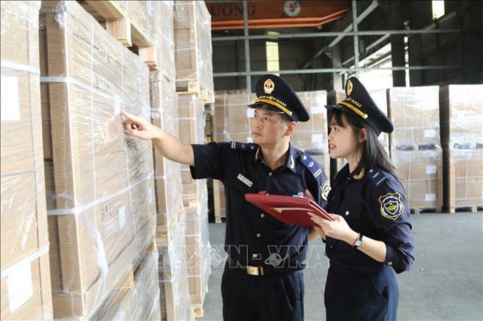 Hải quan cửa khẩu Cốc Nam (Lạng Sơn) kiểm tra mã số, chủng loại hàng hóa nhập khẩu tập kết trong kho bãi Ảnh: Quang Duy/TTXVN