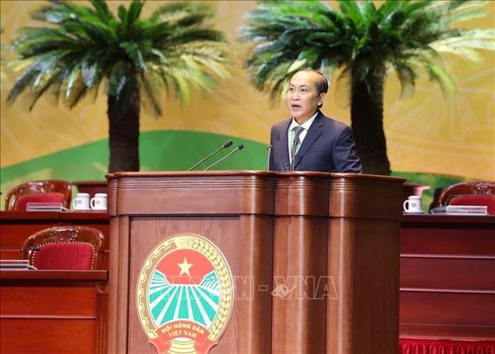 Phó Chủ tịch Thường trực Ban Chấp hành Trung ương Hội Nông dân Việt Nam Phan Như Nguyện phát biểu. Ảnh: Hoàng Hiếu/TTXVN