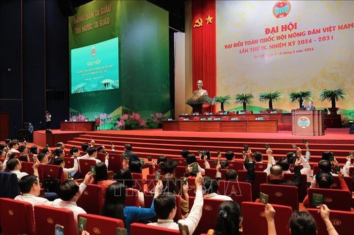 Các đại biểu biểu quyết thông qua Chương trình làm việc của Đại hội. Ảnh: Lê Đông/TTXVN