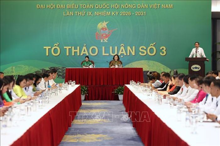 Quang cảnh thảo luận tại tổ thảo luận số 3. Ảnh: Hoàng Hiếu/TTXVN