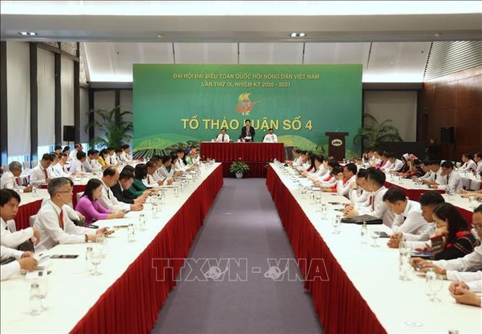 Quang cảnh tổ thảo luận số 4. Ảnh: Hoàng Hiếu/TTXVN