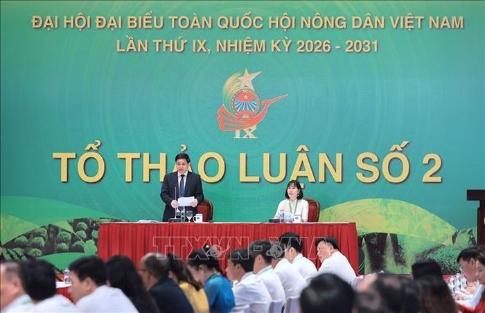 Đồng chí Phạm Tiến Nam, Phó Chủ tịch Ban Chấp hành Trung ương Hội Nông dân Việt Nam phát biểu tại tổ thảo luận số 2. Ảnh: Lê Đông/TTXVN