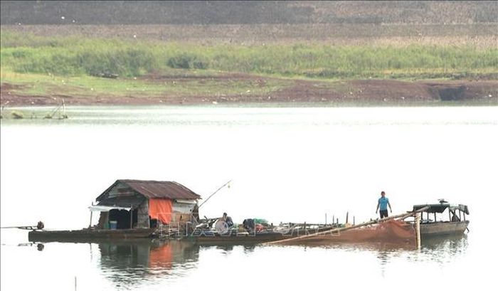 Từ hàng trăm hộ nuôi các loại cá đặc sản như cá lăng, cá bống tượng, cá lóc hay cá rô đồng trước đây, hiện nay khu vực lòng hồ Thác Mơ chỉ còn hơn chục hộ còn duy trì nghề nuôi cá lồng bè.
