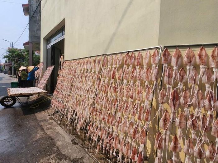 Mực được các cơ sở chế biến thành nhiều loại khác nhau như mực khô, mực một nắng...