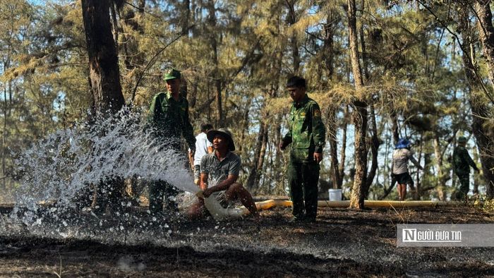 Khu vực xảy ra cháy là rừng phi lao phòng hộ ven biển được trồng từ nhiều năm trước. Đây là vành đai xanh có vai trò quan trọng trong việc chắn gió, ngăn cát bay, cát lấn, góp phần bảo vệ đất sản xuất và khu dân cư ven biển.