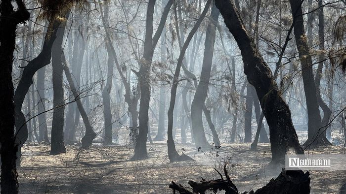 “Đám cháy đã được khoanh vùng, khống chế hoàn toàn. Hiện các đơn vị vẫn tiếp tục kiểm tra hiện trường, xử lý các điểm còn nguy cơ cháy âm ỉ và duy trì lực lượng trực để phòng ngừa lửa bùng phát trở lại”, ông Khiết cho hay.