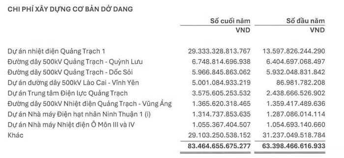Thuyết minh báo cáo tài chính của EVN.