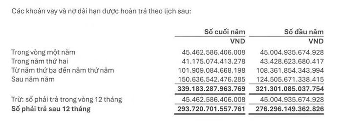 Thuyết minh báo cáo tài chính của EVN.