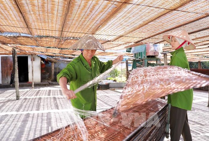 Sản xuất miến dong tại HTX Nông nghiệp và Dịch vụ Bình Lư (xã Bình Lư, tỉnh Lai Châu). Ảnh: Việt Dũng - TTXVN 