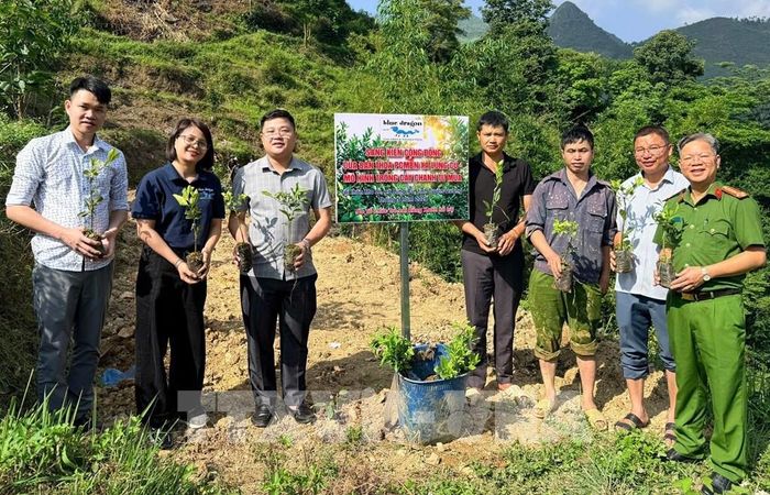 Mô hình trồng chanh tứ mùa góp phần tạo sinh kế cho người dân thôn Ma Lé, xã Lũng Cú (Tuyên Quang). Ảnh: TTXVN phát 