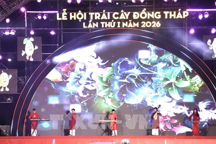 Trình diễn nhạc cụ dân tộc. Ảnh: Hồng Nhung - TTXVN