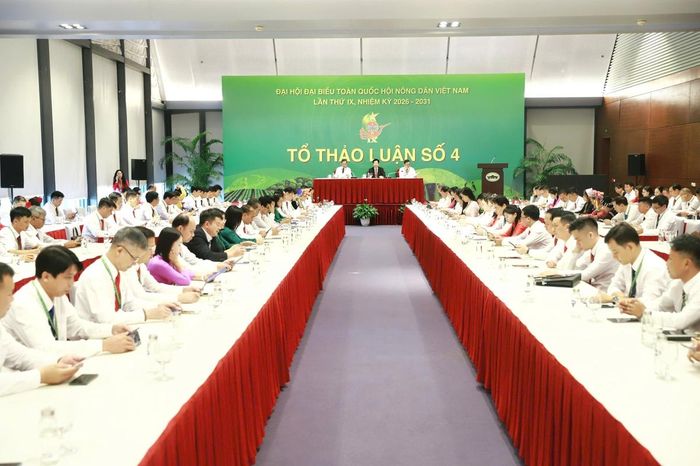 Ông Nguyễn Xuân Định, Phó Chủ tịch Ban Chấp hành Trung ương Hội Nông dân Việt Nam; ông Nguyễn Hoàng Trung, Ủy viên Ban Thường vụ Trung ương Hội, Chủ tịch Hội Nông dân tỉnh Bắc Ninh và ông Trương Văn Tùng, Ủy viên Ban Thường vụ Trung ương Hội, Chủ tịch Hội Nông dân tỉnh Lâm Đồng, chủ trì tổ thảo luận số 4.