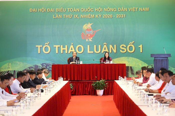 Tổ số 1 trong khuôn khổ Đại hội đại biểu toàn quốc Hội Nông dân Việt Nam lần thứ IX ngày 7/6 do ông Phan Như Nguyện - Phó Chủ tịch Thường trực Ban Chấp hành Trung ương Hội Nông dân Việt Nam và bà Nguyễn Hồng Phượng - Chủ tịch Hội Nông dân tỉnh Đồng Tháp chủ trì. Ảnh: Ban Tổ chức.