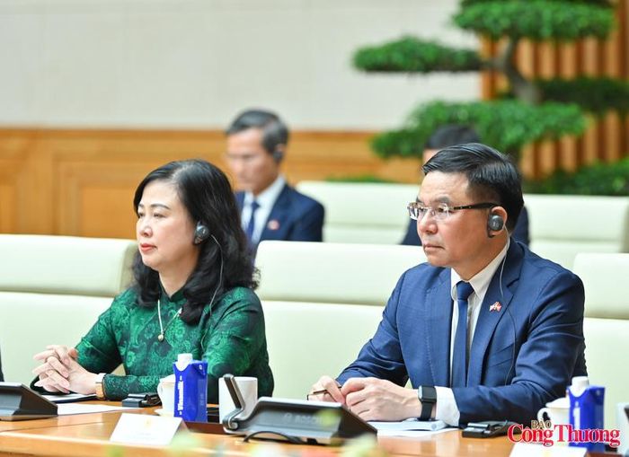 Bộ trưởng Bộ Công Thương Lê Mạnh Hùng tại hội đàm.