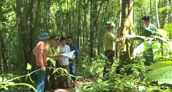 Phối hợp kiểm tra, bảo vệ và phòng cháy chữa cháy rừng mùa nắng nóng