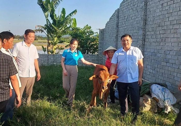 Lãnh đạo xã và Hội LHPN xã Trường Văn trao bò giống cho hội viên Nguyễn Thị Dung.