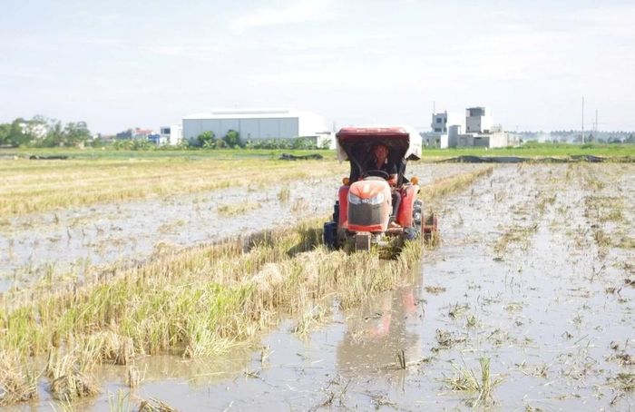 Những năm qua, nhờ hờ hạ tầng giao thông nội đồng được đầu tư hoàn thiện, việc đưa máy móc hiện đại như máy cày, máy bừa vào đồng ruộng trở nên dễ dàng. Điều này giúp đất được phay nhuyễn, tơi xốp, tiết kiệm tối đa sức người và rút ngắn thời gian làm đất.