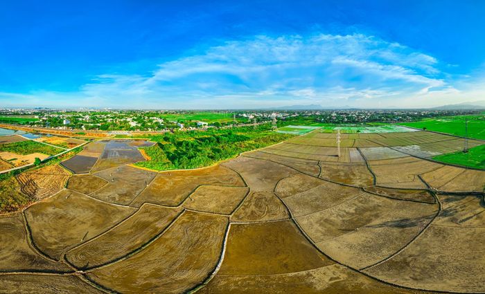 Những thửa ruộng được làm theo hình thức cuốn chiếu, ruộng cao xuống giống trước để tiết kiệm nguồn nước.