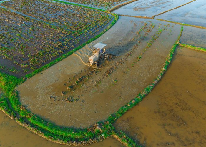 Máy cày hoạt động trên những thửa ruộng đã ngập nước, khẩn trương làm đất phục vụ gieo sạ vụ Hè Thu.
