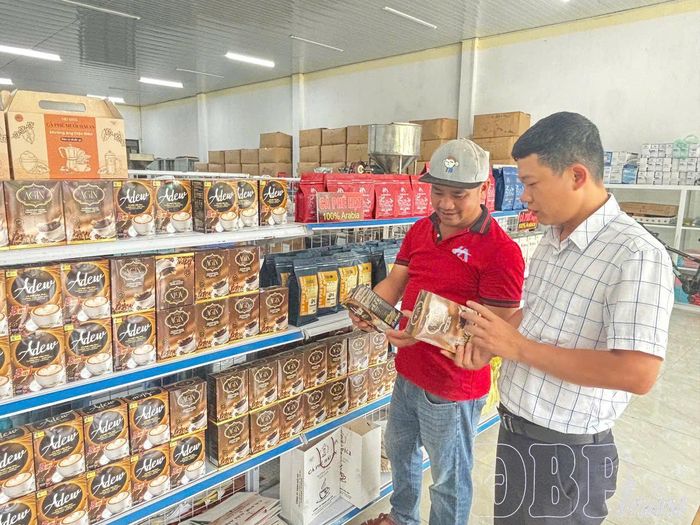 Cà phê của Công ty TNHH Hải An, xã Mường Ảng ngày càng khẳng định thương hiệu trên thị trường.