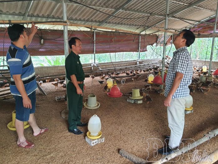 Mô hình ứng dụng khoa học - kỹ thuật trong chăn nuôi gia cầm tại xã Pu Nhi cho hiệu quả kinh tế cao hơn so với hình thức chăn nuôi truyền thống.