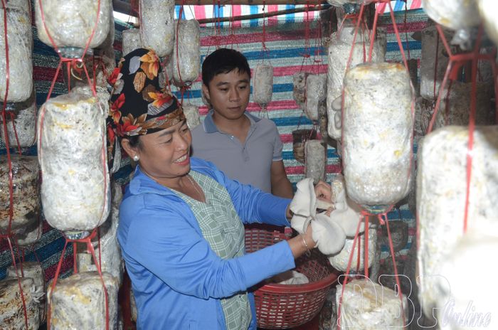Thông qua các mô hình khuyến nông, người dân được tiếp cận, chuyển giao tiến bộ khoa học - kỹ thuật trong sản xuất.