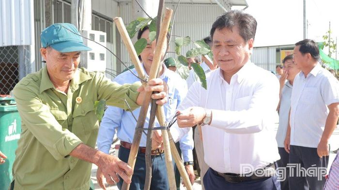 Đồng chí Trần Văn Dũng (bên phải) tham gia trồng cây sao trên tuyến đường tỉnh 879C.