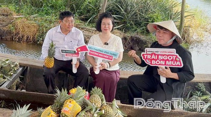 Sở Công thương phối hợp với Cục Thương mại điện tử và Kinh tế số và nền tảng TikTok Shop tổ chức phiên livestream quảng bá và tiêu thụ khóm tại xã Hưng Thạnh.