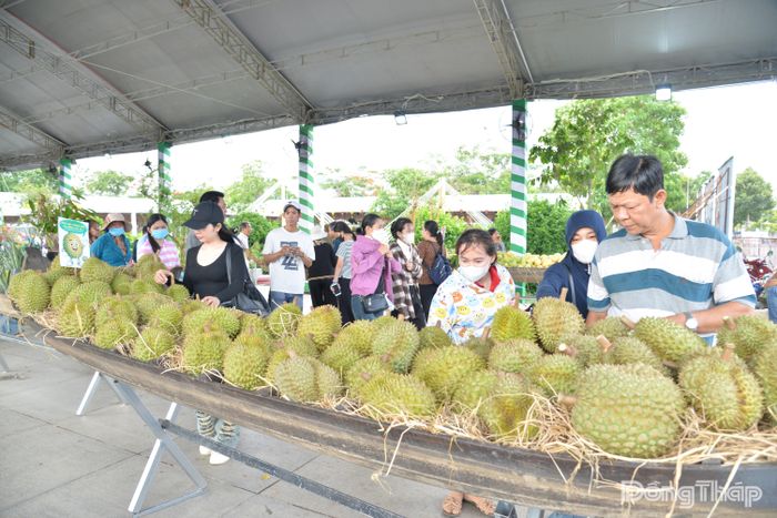 Trái cây đầy ắp phục vụ người dân đến tham quan.