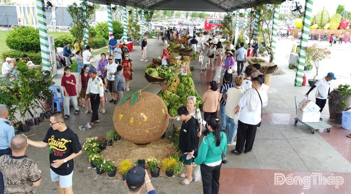 Khu vực trưng bày trái cây đặc sản của Đồng Tháp nhộn nhịp khách tham quan.