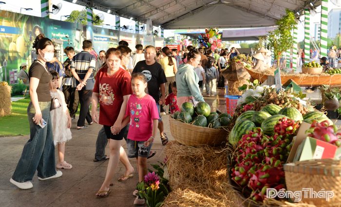 Khu vực trưng bày trái cây phong phú, hấp dẫn thu hút đông đảo khách tham quan.