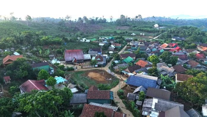 Đời sống kinh tế người dân thôn 1 ngày càng khởi sắc nhờ tận dụng tốt lâm sản phụ dưới tán rừng. Ảnh: Thanh Sáng
